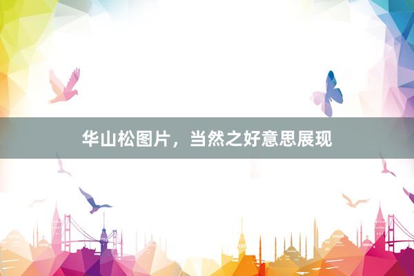 华山松图片，当然之好意思展现