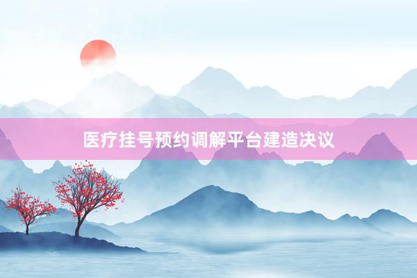 医疗挂号预约调解平台建造决议
