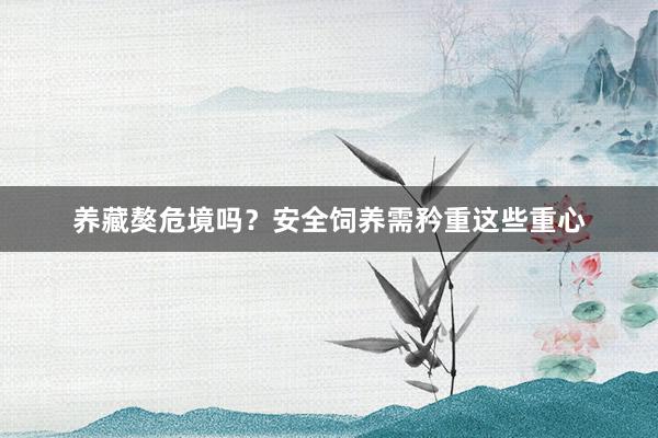 养藏獒危境吗？安全饲养需矜重这些重心