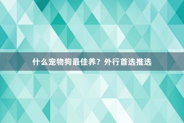什么宠物狗最佳养？外行首选推选
